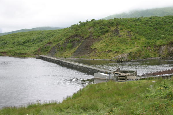 Bear Viewing Kodiak Island Alaska